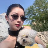 2026 New Model Qianjin Mirror Sunglasses with the Same Metal Oval Frame as Zhou Ye, Vintage Style Sunglasses for Women, Old Money Style Sunglasses