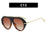 Toad-Shaped Sunglasses Pilot Style 2026 New Model Retro Sunglasses with Unique Shape for Driving
