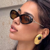 Oval Rivet Sunglasses 2026 New Style for Trendy Girls, Unique and High-end Sunglasses, European and American Style Sunglasses